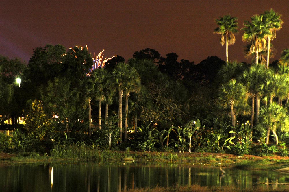 Illuminations 1